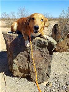 Rescue