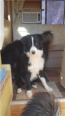 Rescue