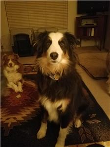 Rescue