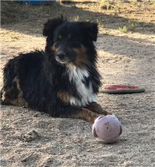 Rescue