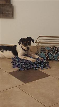Rescue
