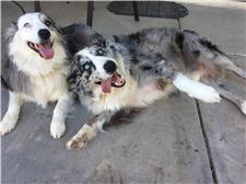 Rescue