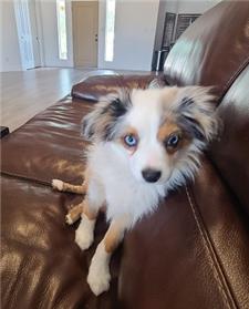 Rescue