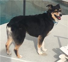 Rescue
